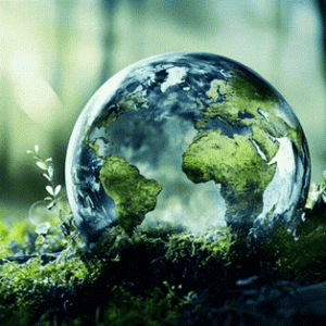 Sustainability at Cascando
