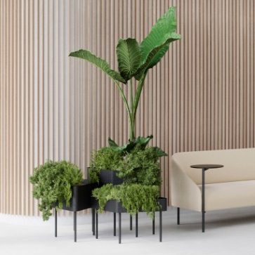 Planters